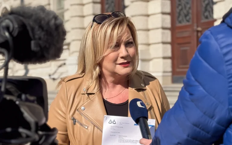 Alena Schillerová s návrhem u ÚS