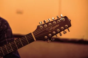 guitar, music, cords, musical notes, party, concert