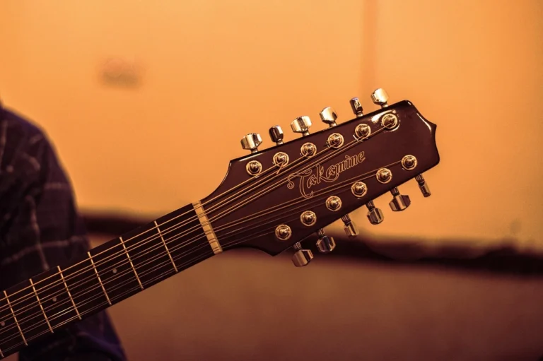 guitar, music, cords, musical notes, party, concert