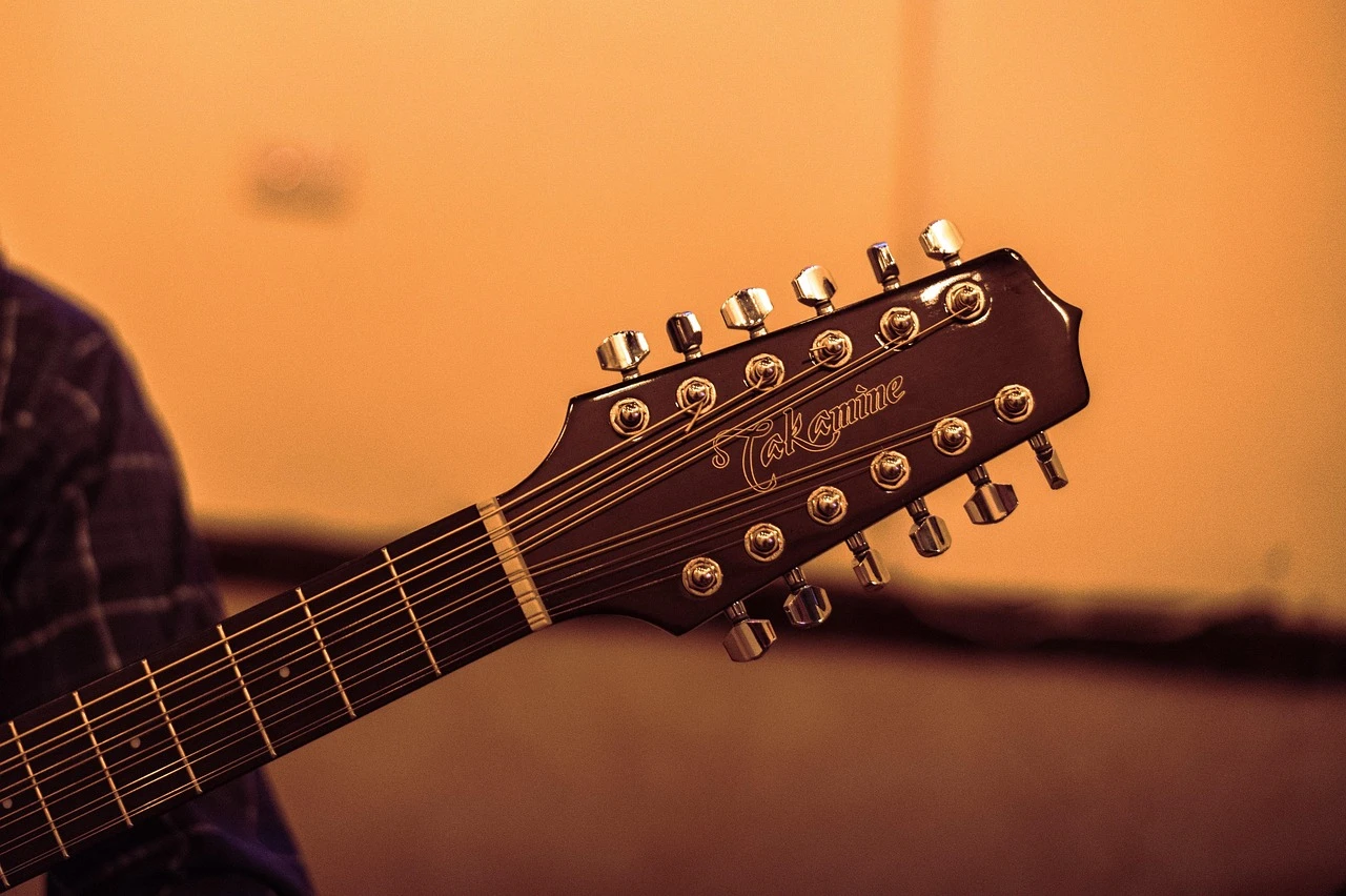 guitar, music, cords, musical notes, party, concert